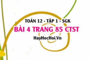 Bài 4 trang 85 Toán 12 tập 1 Chân trời sáng tạo